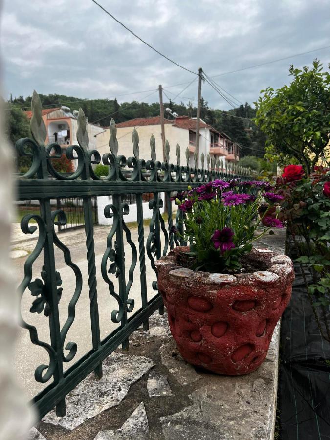 Dionysus Apartments & Studios Sívota 外观 照片