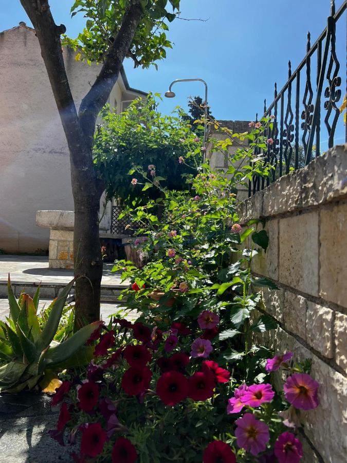Dionysus Apartments & Studios Sívota 外观 照片